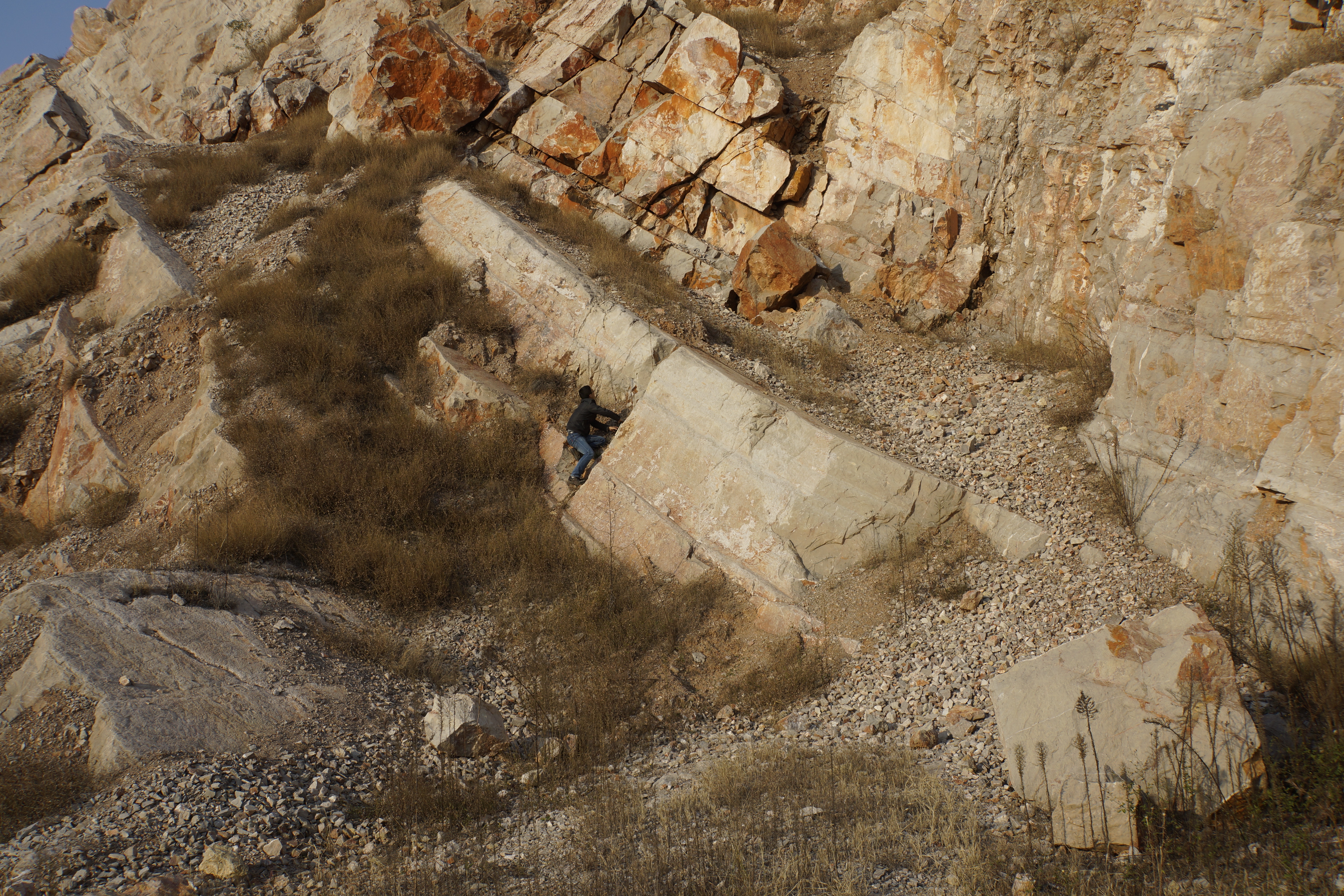 团委稿件封面图 环境所.jpg