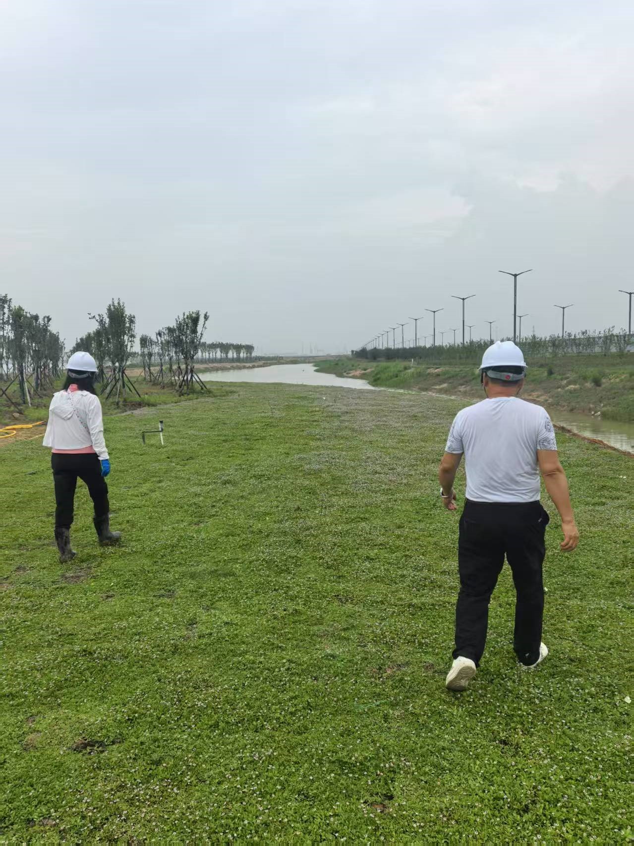 示范场地野外巡查.jpg
