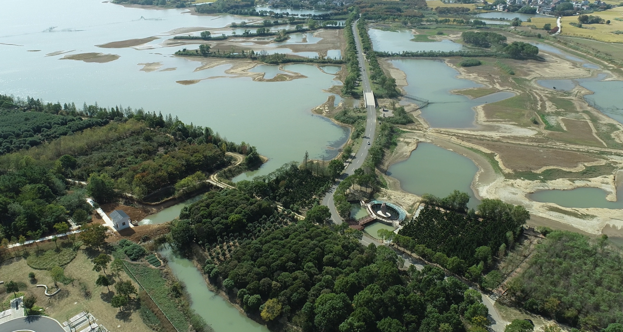 溧阳湿地 (1).png