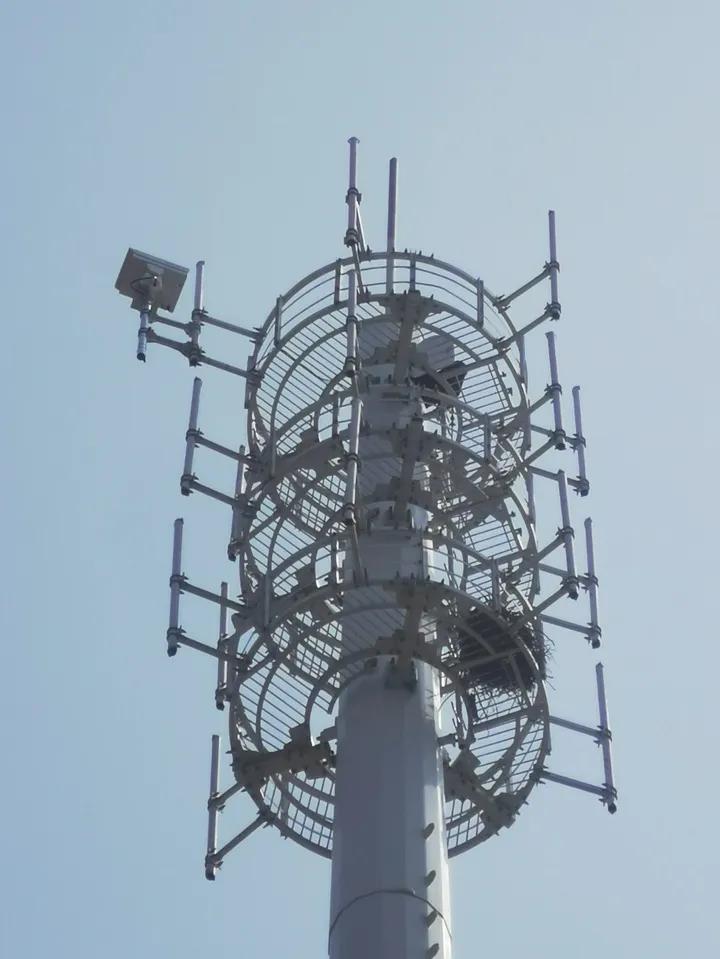 盐城火烈鸟 (3).png