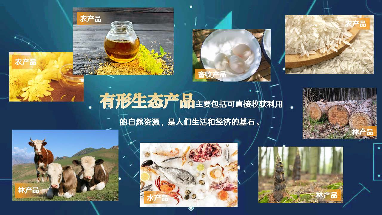 图片 3.png