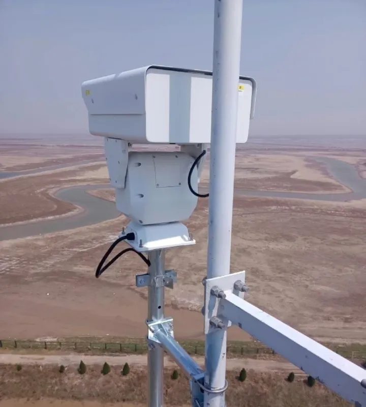 盐城火烈鸟 (4).png