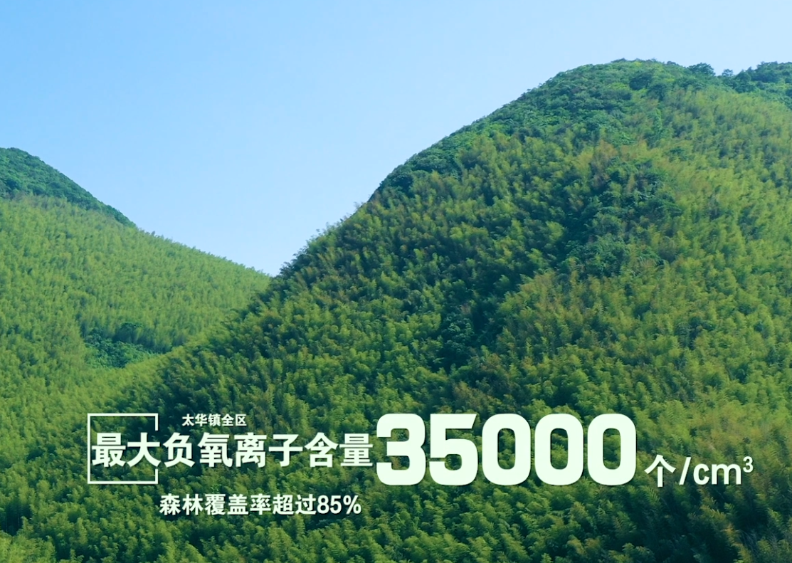 图片 5.png