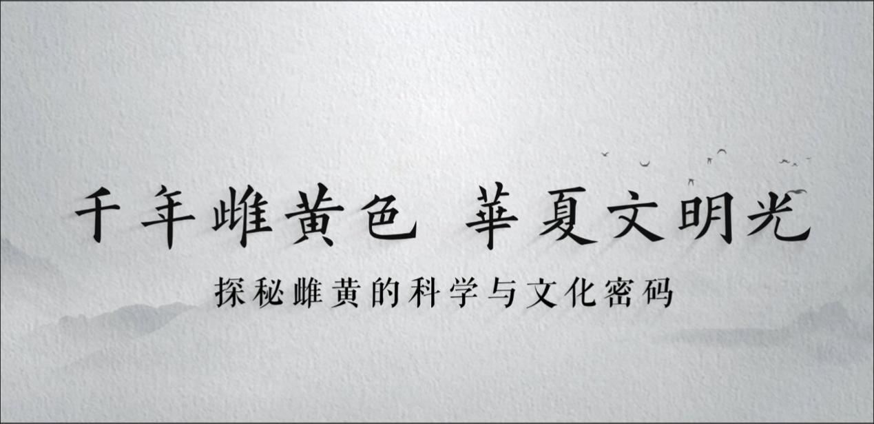 图片 13.png